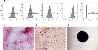 Quercetin Combined With Human Umbilical Cord Mesenchymal Stem Cells Regulated Tumour Necrosis Factor-α/Interferon-γ-Stimulated Peripheral Blood Mononuclear Cells via Activation of Toll-Like Receptor 3 Signalling